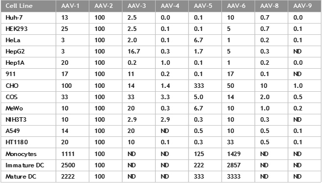 AAV_In_Vitro_Infectivity.jpg